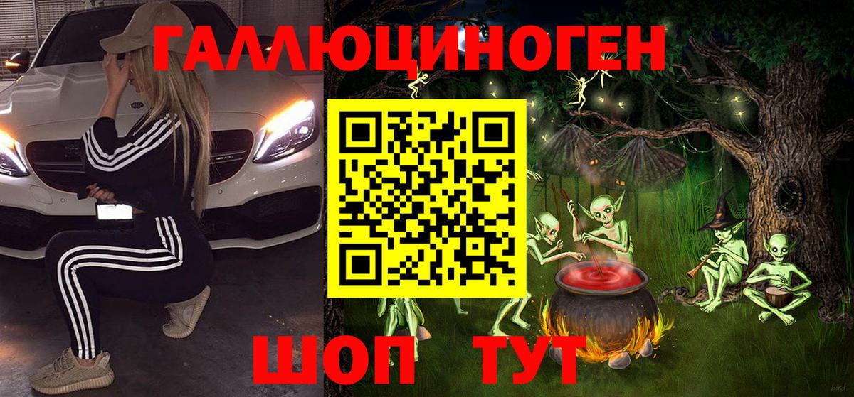 Галлюциногенные грибы Psilocybe  Вход с VPN  Большой Камень 